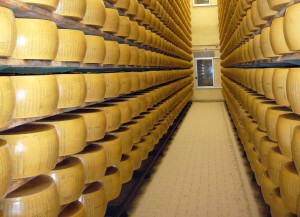 parmigiano